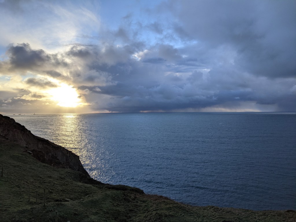 The stillness of the&nbsp;whales
